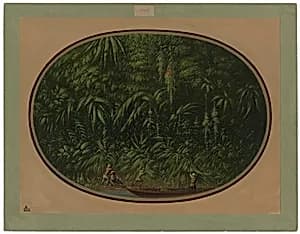 Shore of the Trombetas by George Catlin