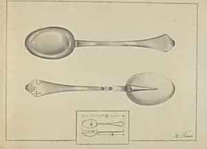 Silver Spoon