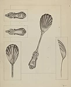 Silver Sugar Spoon by Anthony Zuccarello