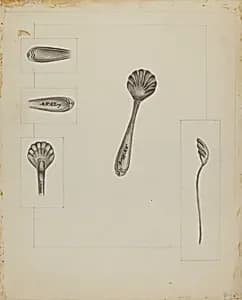 Silver Sugar Spoon by Anthony Zuccarello