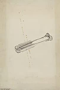 Silver Sugar Tongs by Florence Grant Brown