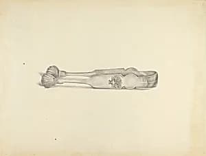 Silver Sugar Tongs by American 20th Century