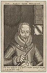 Sir Walter Raleigh by Frederik Hendrik van den Hove