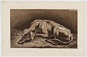 Sleeping Greyhound by Johann Christian Reinhart