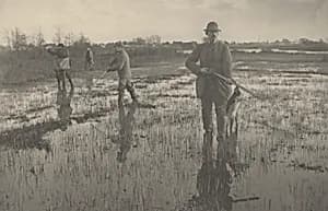 Snipe-Shooting