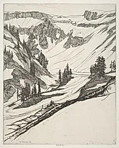 Snowfields