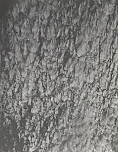 Songs of the Sky by Alfred Stieglitz