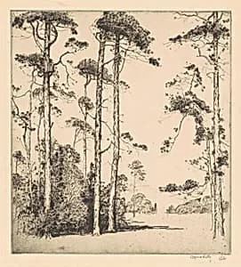 Southern Pines