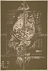 Split Image II