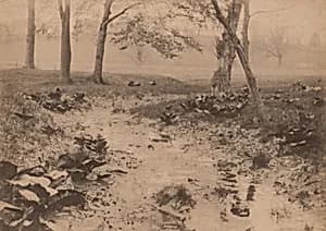 Spring Landscape by Robert S. Redfield