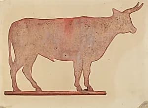 Steer Weather Vane by Mina Lowry