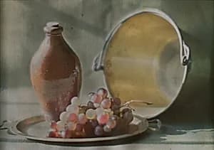 Still Life