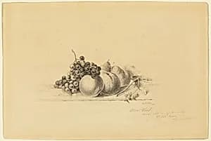 Still Life with Fruit by James McDougal Hart