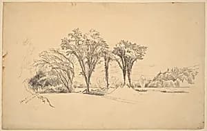 Stowe, Vermont by Aaron Draper Shattuck