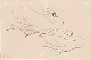 Studies of a Swan by John Singer Sargent