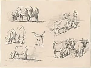 Studies of Cattle by John Singer Sargent