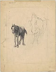Studies of Horses by Guy Pène du Bois