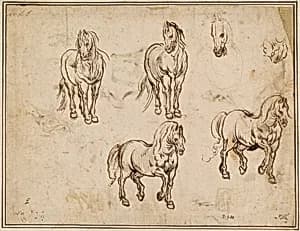 Studies of Horses [recto] by Jacques Callot after Antonio Tempesta