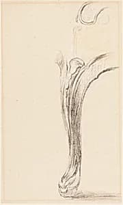 Study of a Chair Leg by Sir David Wilkie