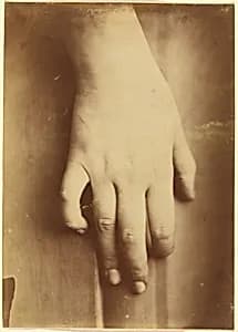 Portrait of European 19th Century