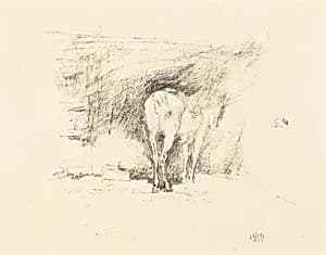Study of a Horse by James McNeill Whistler