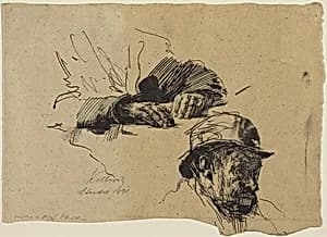 Study of a Man by Käthe Kollwitz