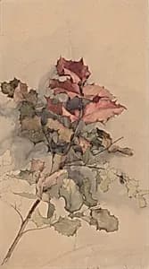 Study of the shrub by Karel Vitezslav Masek