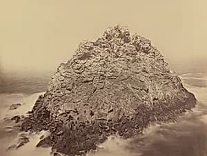 Sugar Loaf Island, Farallons by Carleton E. Watkins