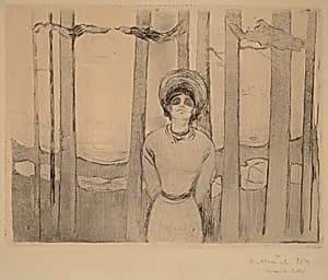 Summer Evening (Sommernacht) by Edvard Munch