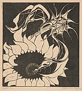 Sunflowers by M.C. Escher