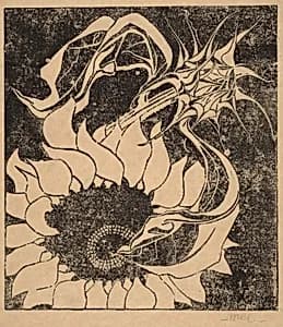 Sunflowers by M.C. Escher