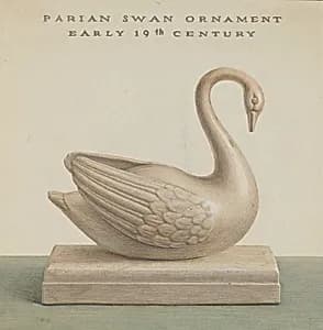 Swan