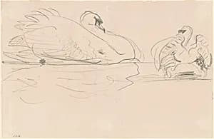 Swans in the Water by John Singer Sargent