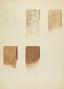 Technique Demo (Wood Grain) by American 20th Century