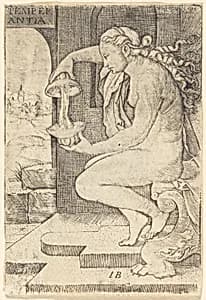Temperantia (Temperance) by Master IB