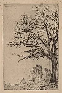 The Acacia (L'acacia) by James Ensor