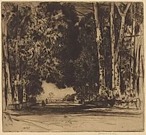 The Avenue by David Young Cameron