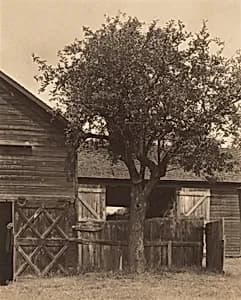 The Barn by Alfred Stieglitz