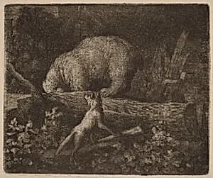 The Bear Trapped by Allart van Everdingen