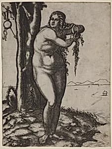 The Birth of Venus by Marcantonio Raimondi