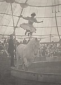 The Circus by Harry C. Rubincam
