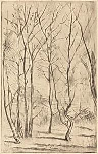 The Dam Wood by James McNeill Whistler