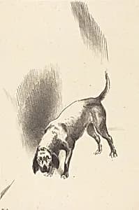 The Dog by Odilon Redon