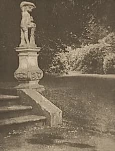 The Enchanted Garden