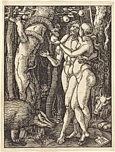 The Fall of Man by Albrecht Dürer