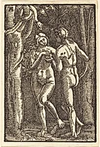 The Fall of Man by Albrecht Altdorfer