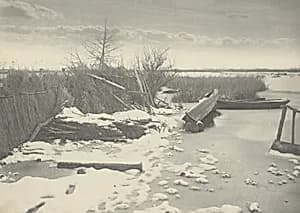 The First Frost