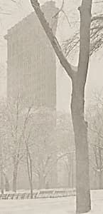 The Flatiron by Alfred Stieglitz (editor/publisher) after Various Artists