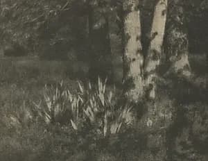 The Garden by Moonlight by Alvin Langdon Coburn