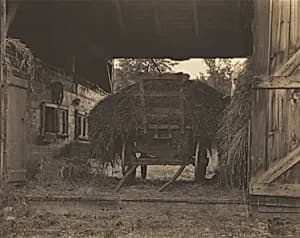 The Hay Wagon by Alfred Stieglitz